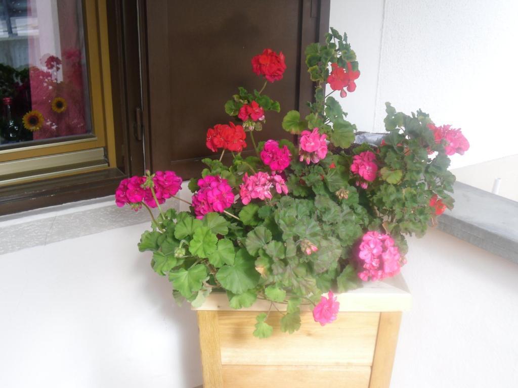 Hotel Garni Margherita Kurfar